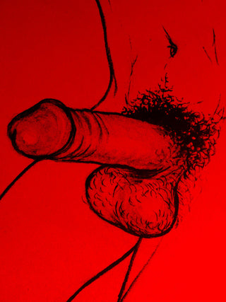 Penis
