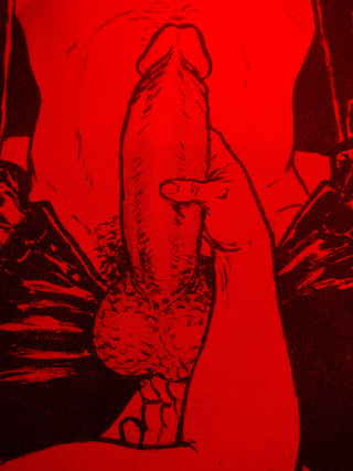 Prostate