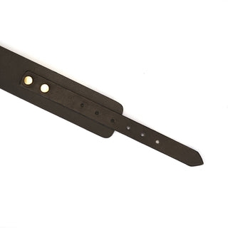 Samurai Thick Leather Collar with Leash