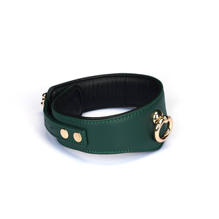 Mossy Chic Leather Curved Collar