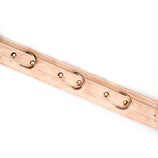 Boudoir Amor Vegan Collar with Leash Pink