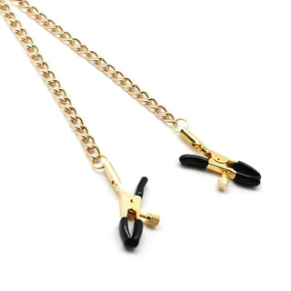 Metal Chain and Bull Nose Nipple Clamps