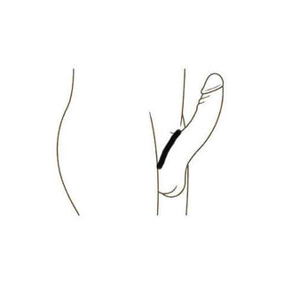 how to silikone penis ringe - lust.dk