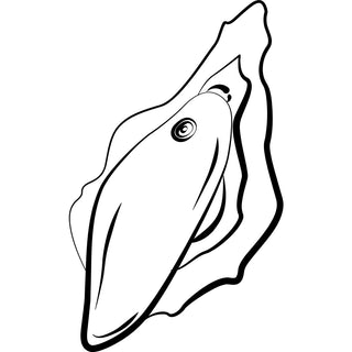 Wave External Vibrator